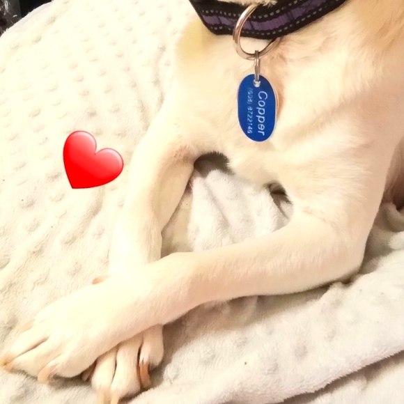 ๐ค(FLAME65)for$10 off first order - Picture 5 of 8